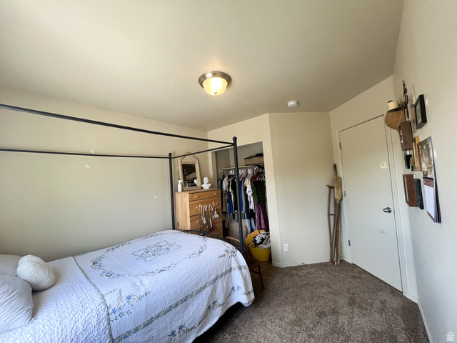 297 West Bricker Road Draper, UT 84020 - Photo 13 of 25 Bedroom with dark carpet and a closet