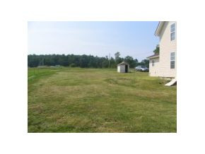 7835 Snapps Ferry Road Chuckey, TN 37641 - Photo 11 of 11 Side Yard
