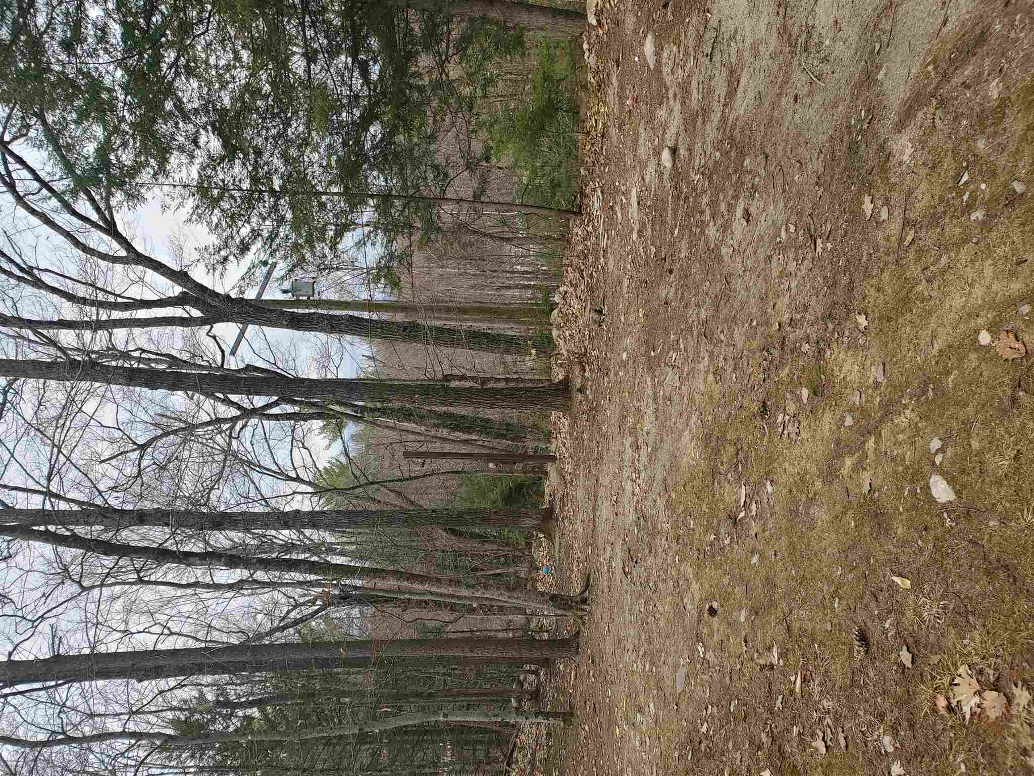 102 Highwatch Road Effingham, NH 03882 - Photo 11 of 24