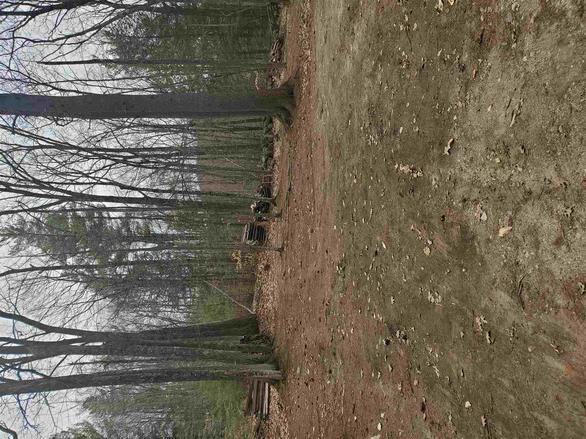 102 Highwatch Road Effingham, NH 03882 - Photo 12 of 24