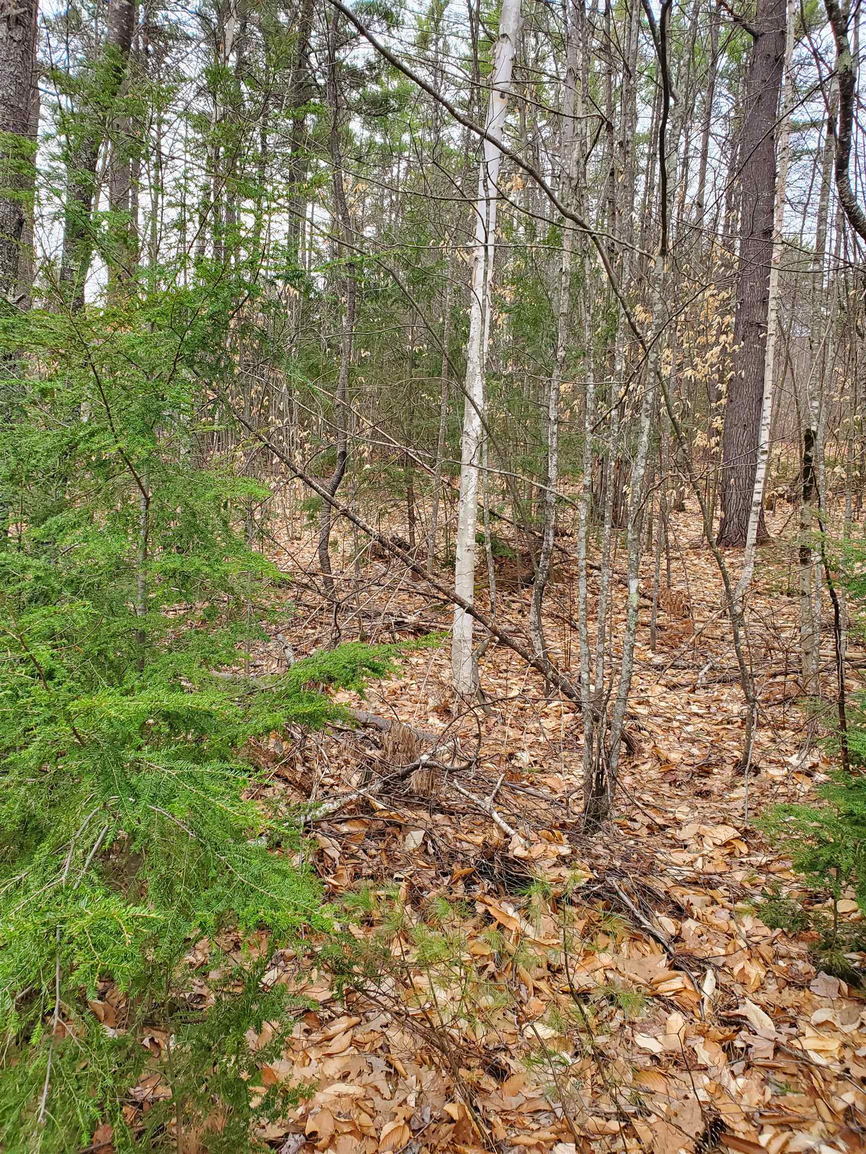 102 Highwatch Road Effingham, NH 03882 - Photo 14 of 24
