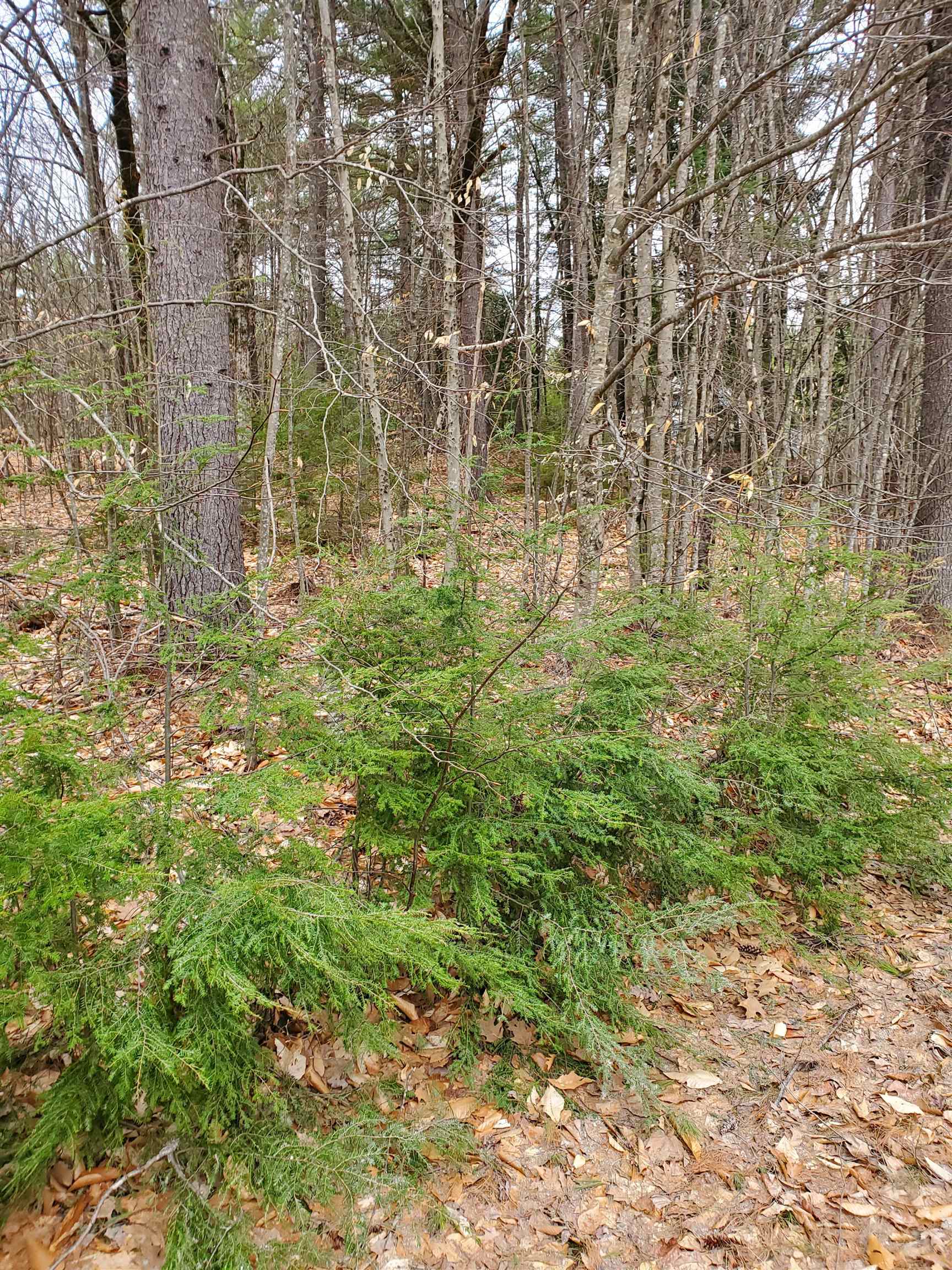 102 Highwatch Road Effingham, NH 03882 - Photo 15 of 24