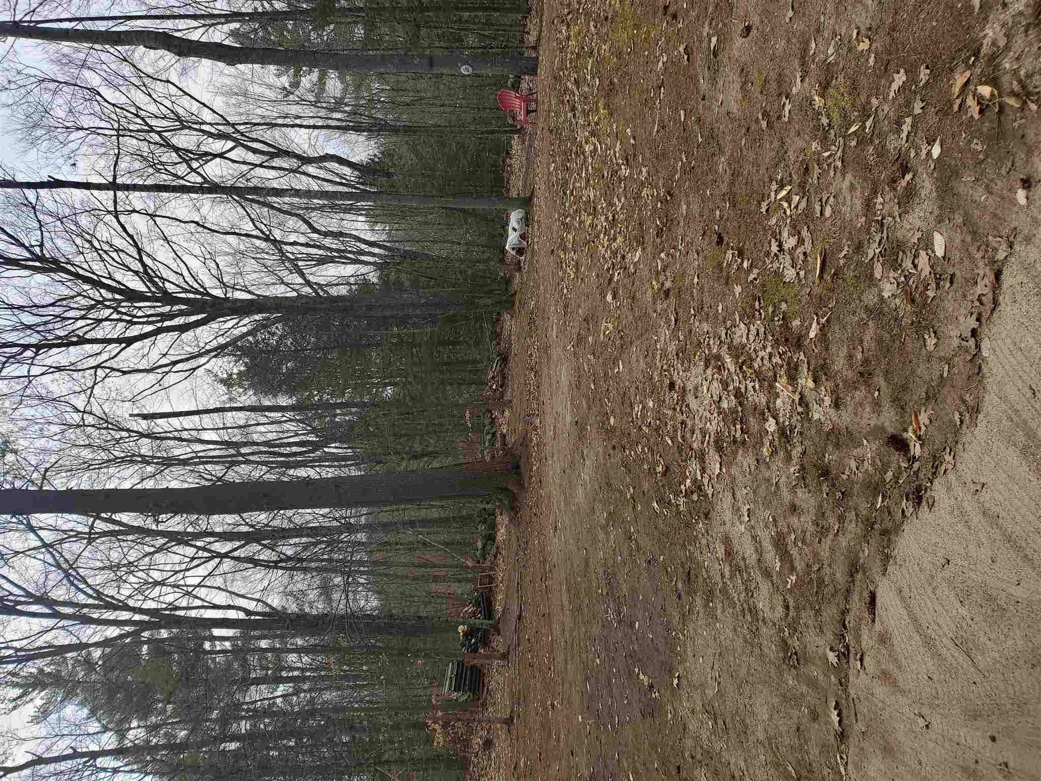 102 Highwatch Road Effingham, NH 03882 - Photo 6 of 24