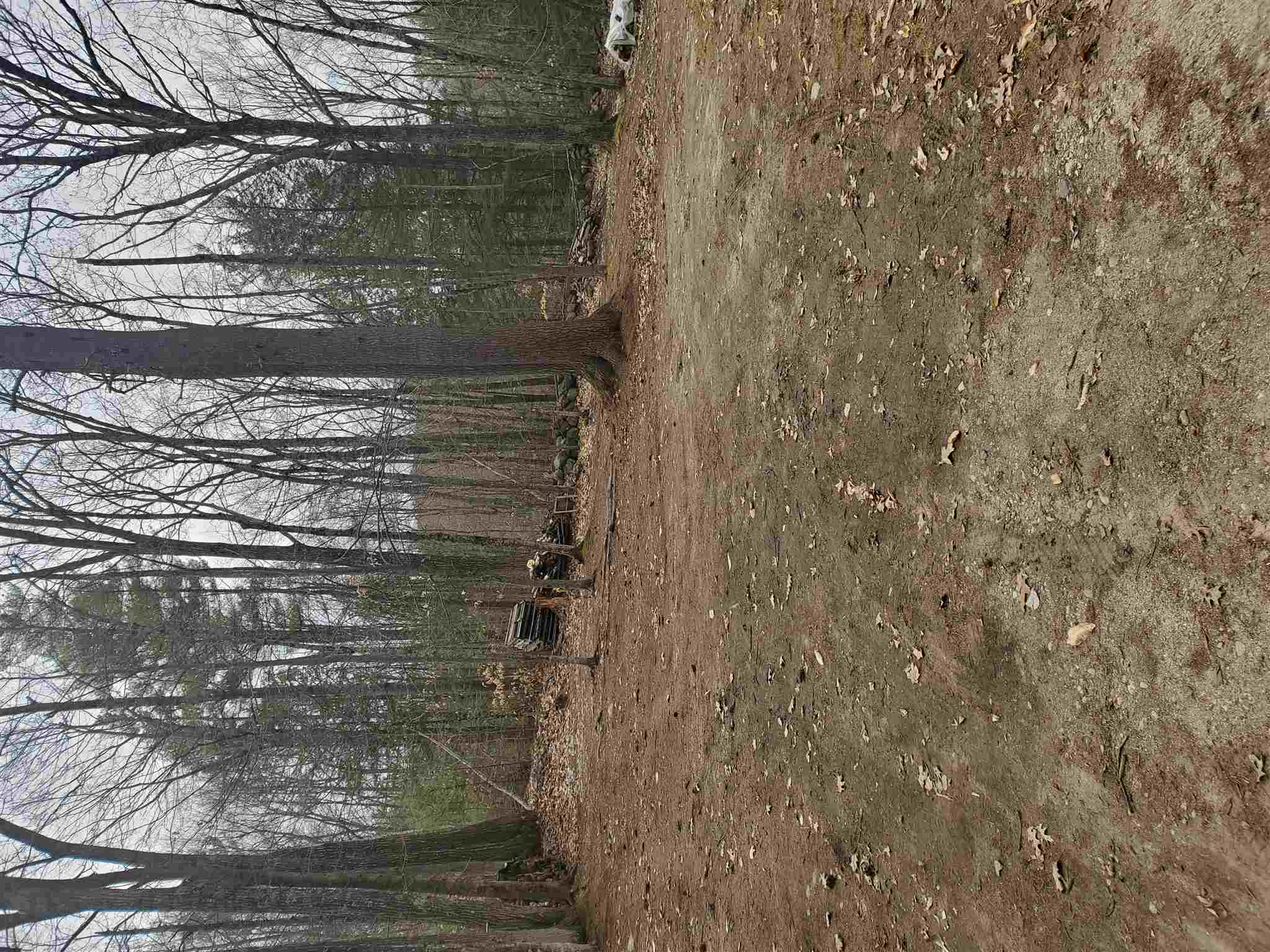 102 Highwatch Road Effingham, NH 03882 - Photo 9 of 24
