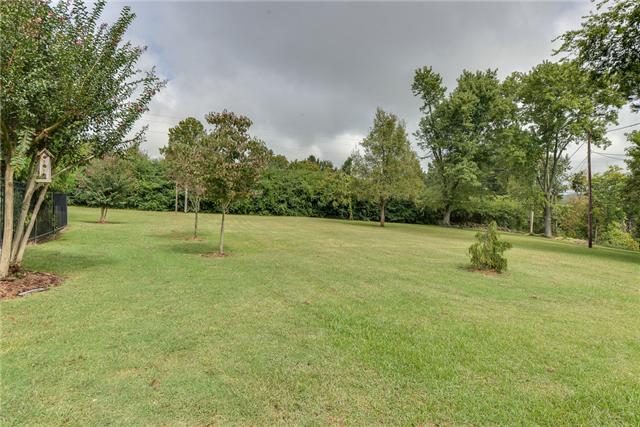968 Sneed Road West Franklin, TN 37069 - Photo 20 of 20 Imagine owning this wonderful private yard! Set up the volley ball net, fire up the grill and enjoy this park-like setting!