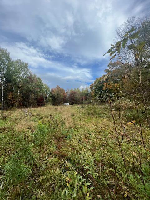 9 Tapley Road New Limerick, ME 04761 - Photo 2 of 5 IMG_1728