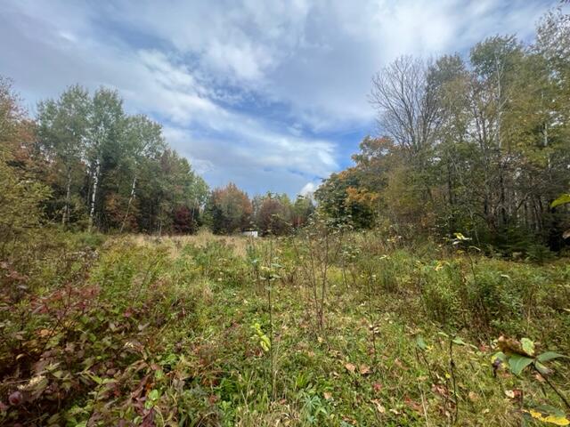 9 Tapley Road New Limerick, ME 04761 - Photo 5 of 5 IMG_1731