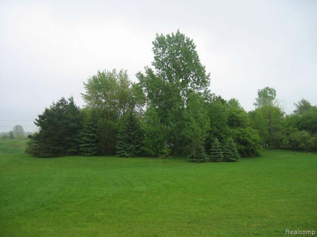 3888 Hogback Road Fowlerville, MI 48836 - Photo 5 of 21