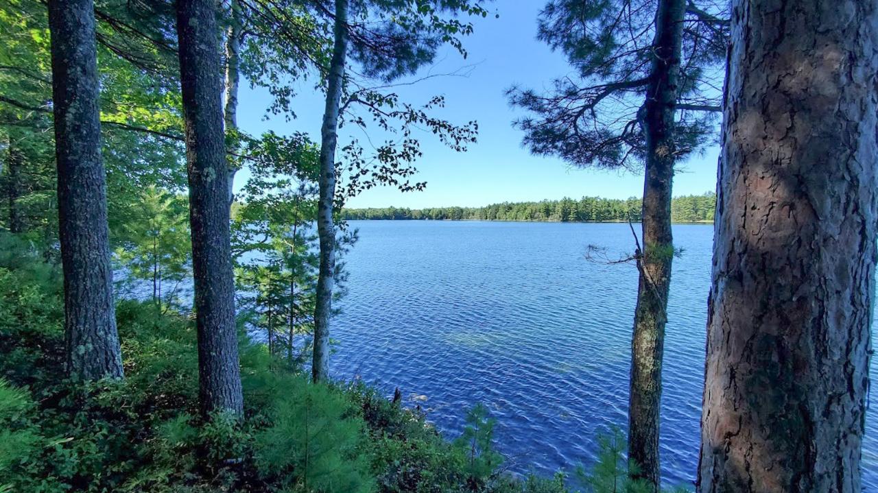 7124 Bass Lake Road Lake Tomahawk, WI 54539 - Photo 33 of 35 Gallery Image 33