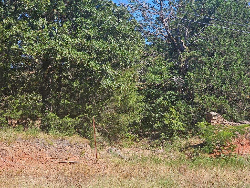 0 Fm 17 Canton, TX 75103 - Photo 3 of 9 a view of a yard with a tree