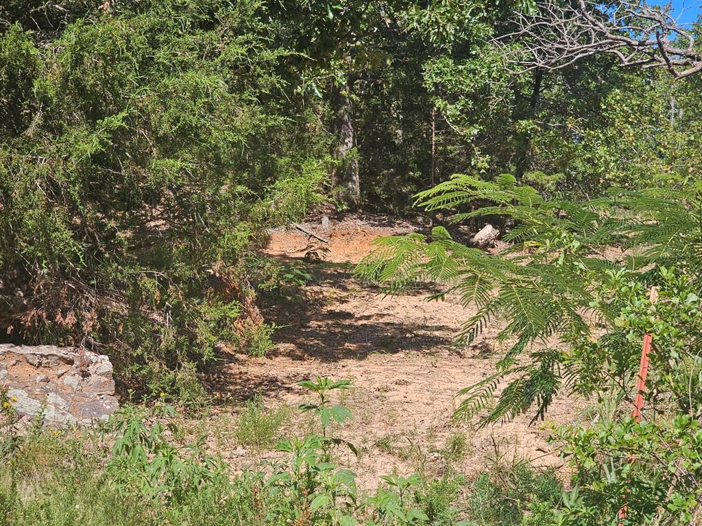 0 Fm 17 Canton, TX 75103 - Photo 5 of 9