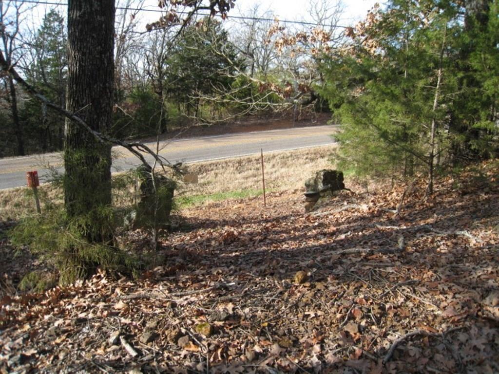 0 Fm 17 Canton, TX 75103 - Photo 6 of 9 a view of a yard with a tree