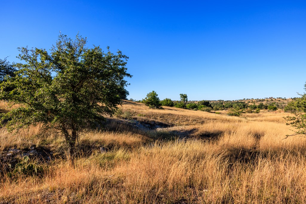 312 Cut-Off Road Fredericksburg, TX 78624 - Photo 49 of 61 Gallery Image 49