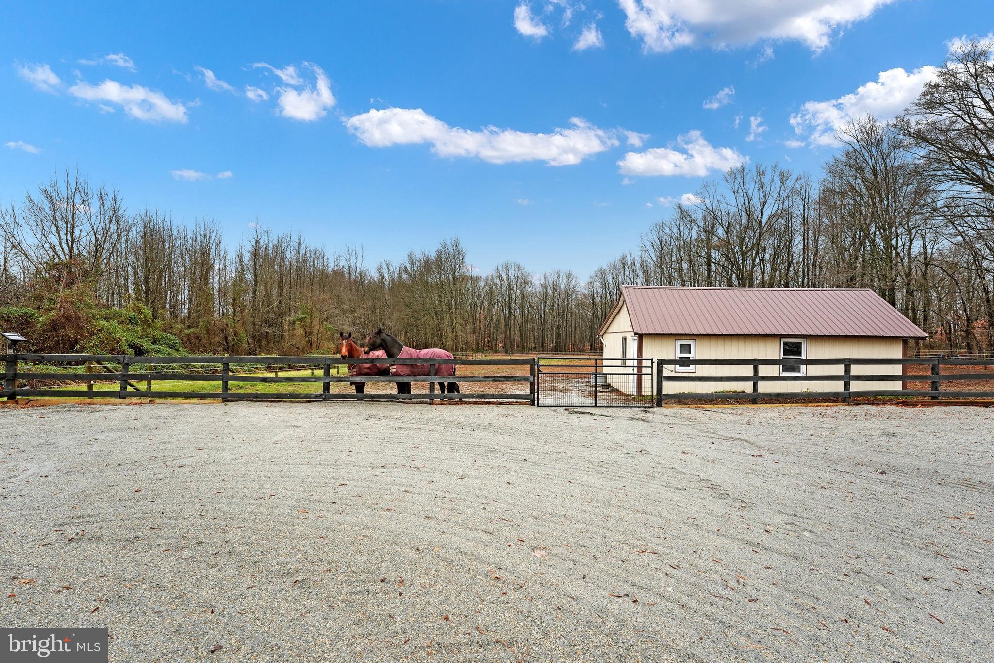 124 Nottingham Road Elkton, MD 21921 - Photo 11 of 33 View from kitchen rear door