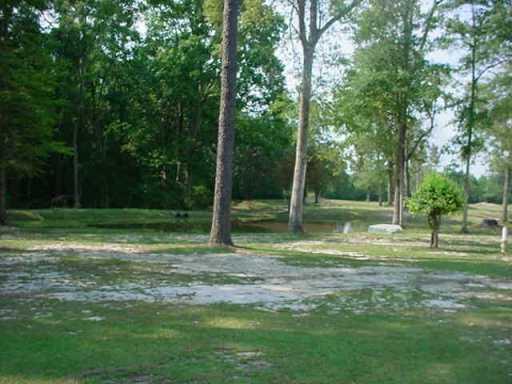 61849 Shady Pine Road Lacombe, LA 70445 - Photo 3 of 8 Gallery Image 3