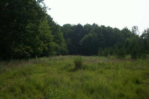Stevenson Road Harrisville, PA 16038 - Photo 7 of 8 Land.