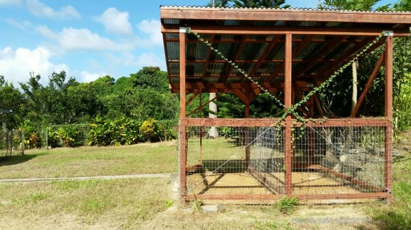 5837 A Olohena Road Kapaa, HI 96746 - Photo 20 of 20 Gallery Image 20