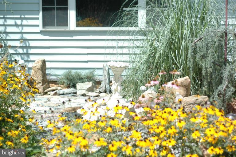 4380 Plum Point Road Huntingtown, MD 20639 - Photo 7 of 28 a view of a yard with a tree