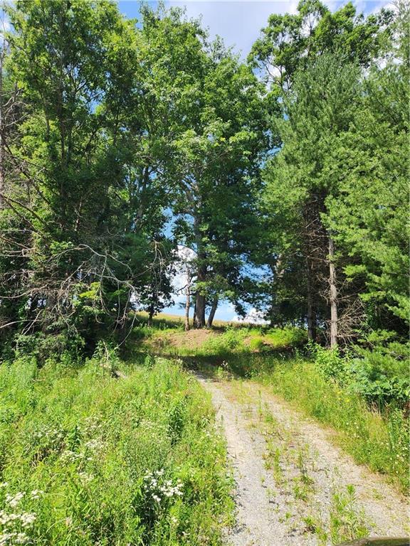 61 Sheriff Road Sparta, NC 28675 - Photo 1 of 13