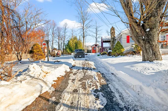 a street view with large trees