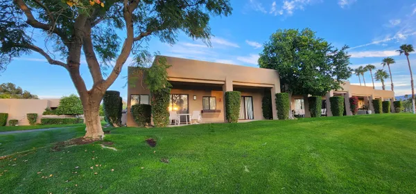 a view of a large trees with a big yard and large trees