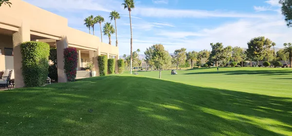 a view of a park with a large tree