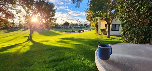 a view of a swimming pool with a yard