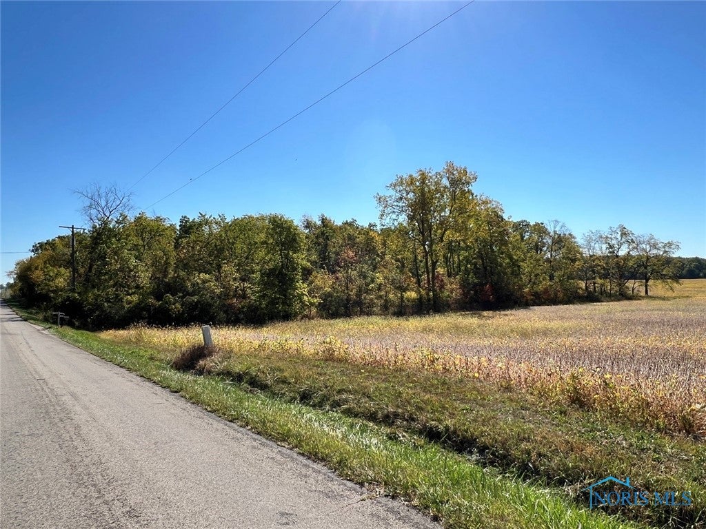 0 West Brown - Co Road West Unity, OH 43570 - Photo 6 of 6 Gallery Image 6