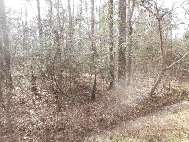 a view of a yard with trees in the background