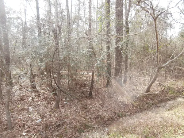 a view of a yard with trees in the background