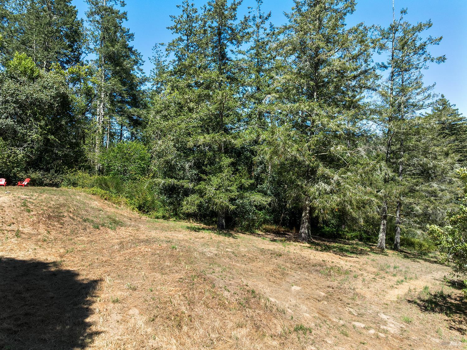 920 Wagnon Road Sebastopol, CA 95472 - Photo 36 of 41 Gallery Image 36