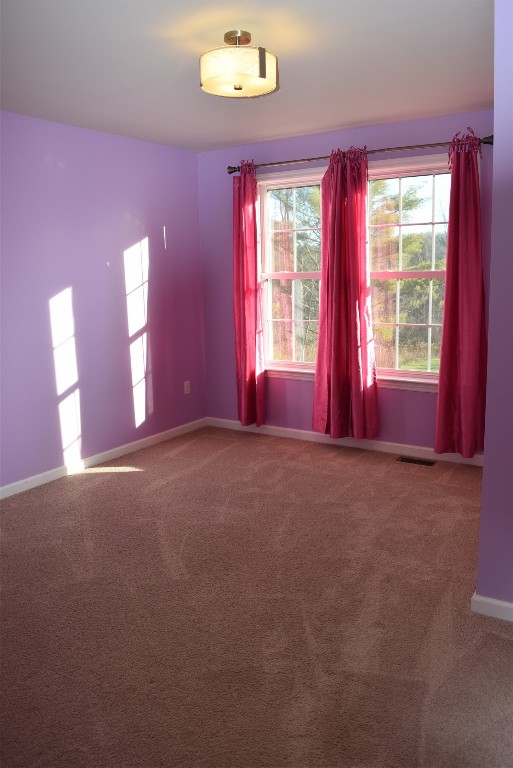 1117 Chestnut Ridge Road, Unit S Apalachin, NY 13732 - Photo 35 of 49