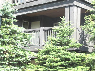 254-255 Rimfire Slatyfork, WV 26291 - Photo 16 of 19 Gallery Image 16