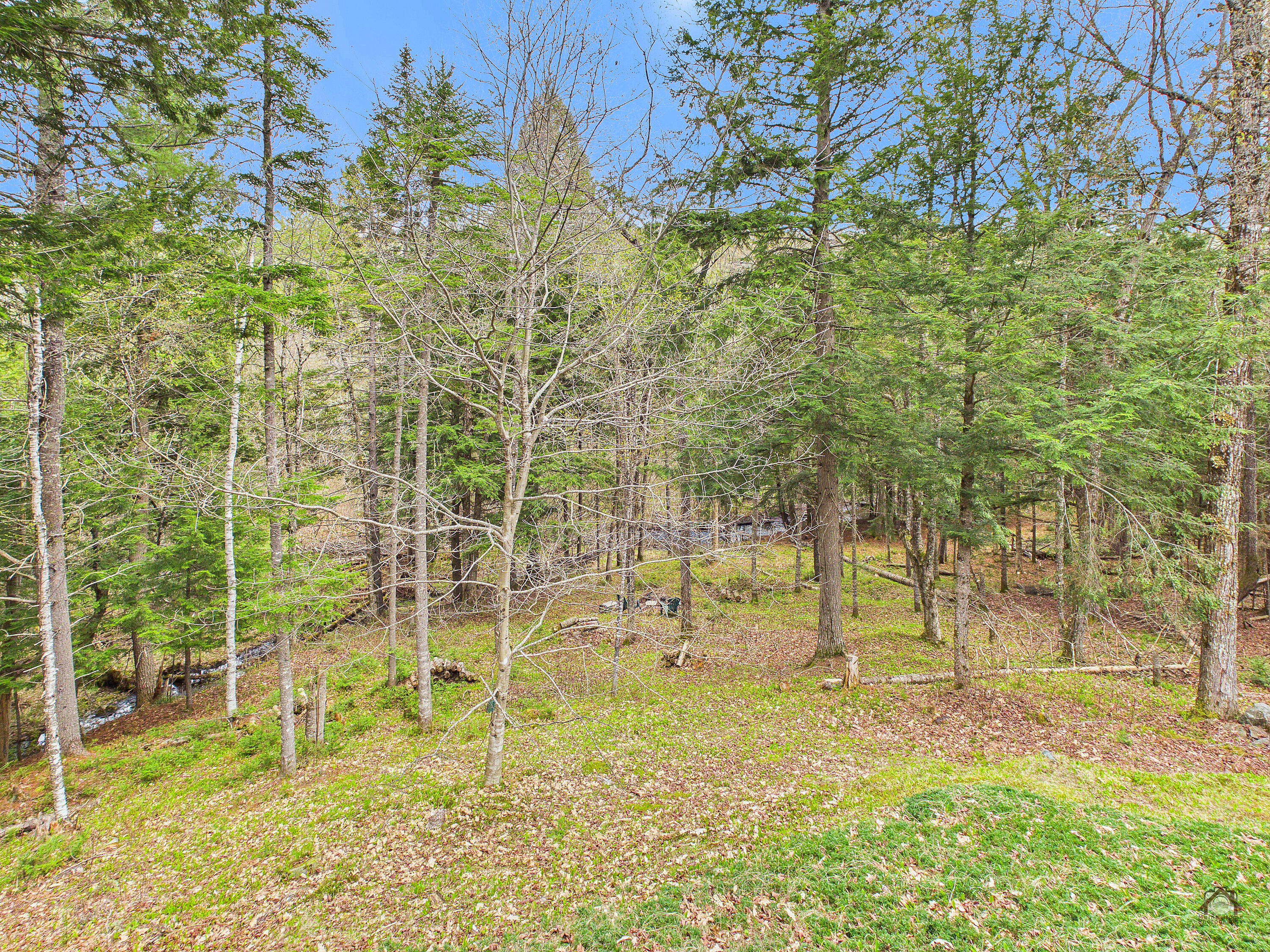 164 Indian Stream Road Kingfield, ME 04947 - Photo 60 of 60