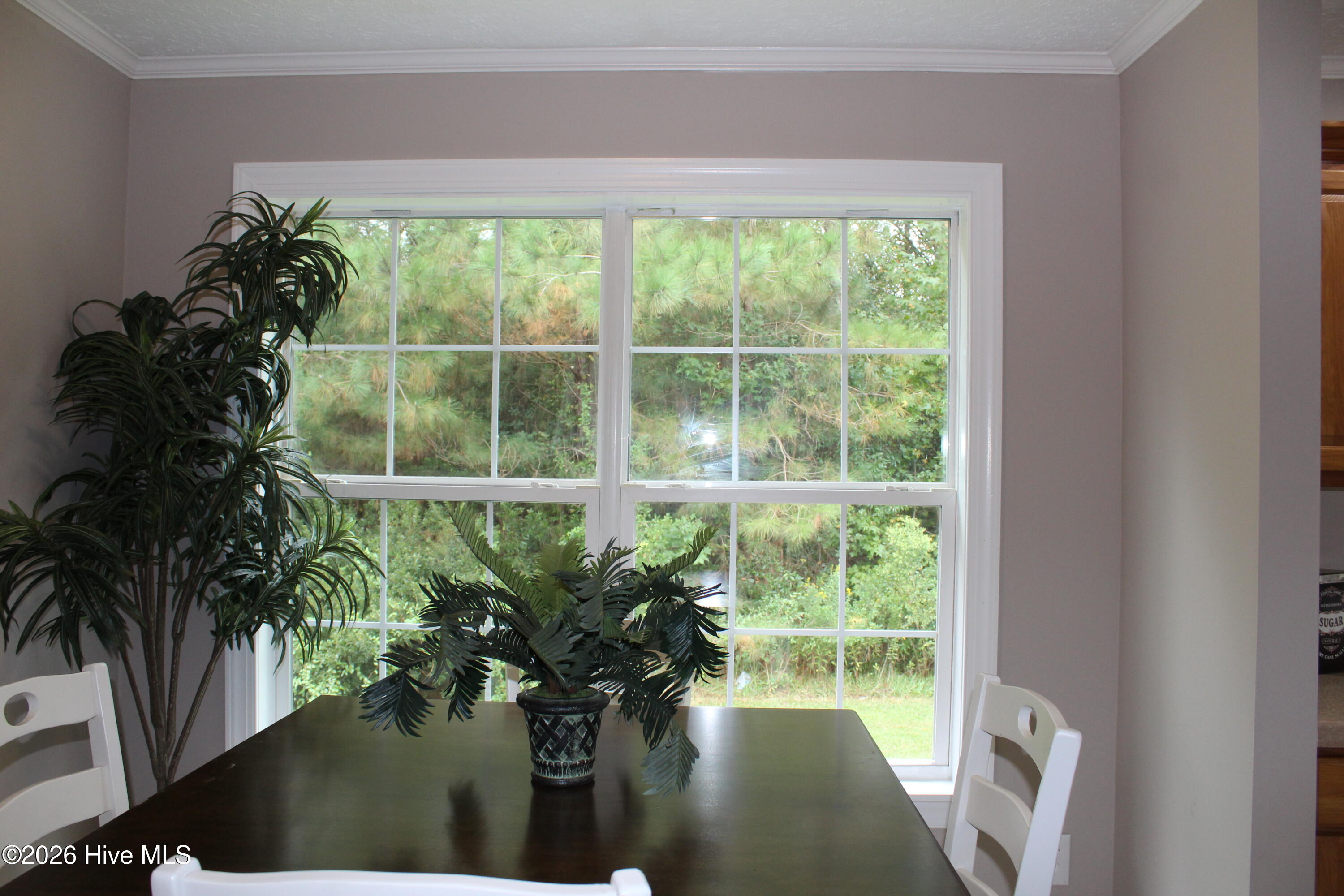 1174 Haw Branch Road Beulaville, NC 28518 - Photo 13 of 33 IMG_5787