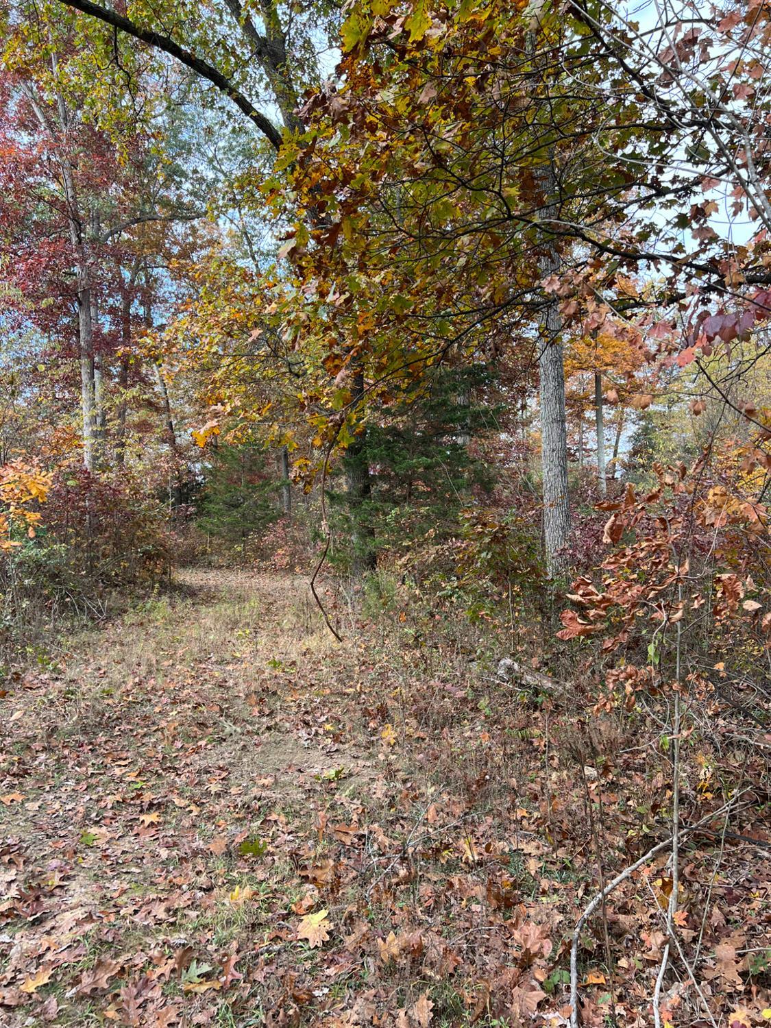 0 Harriet Road Hillsboro, OH 45133 - Photo 48 of 96
