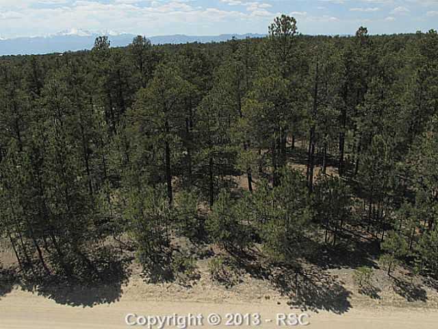 11780 Windmill Road Colorado Springs, CO 80908 - Photo 6 of 7