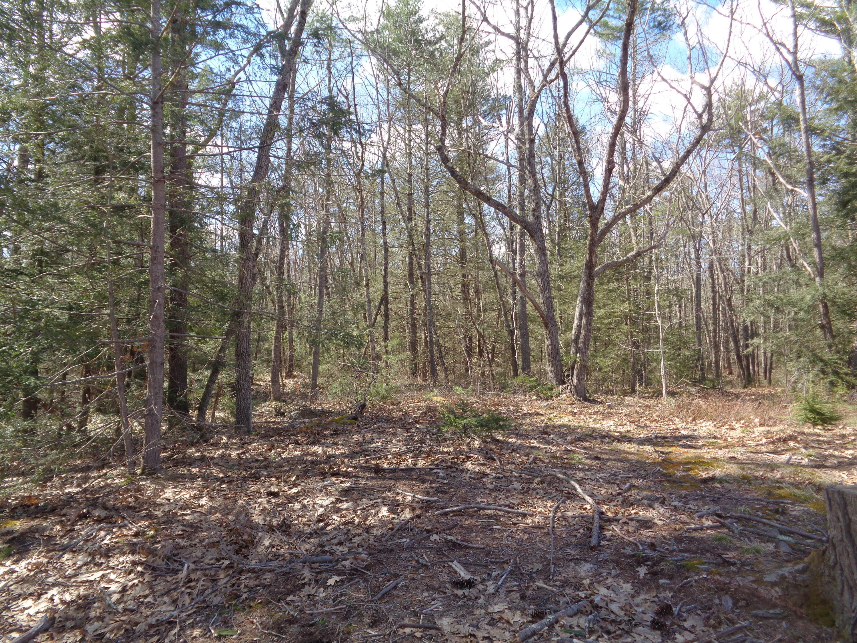 Lot 1-2 Meetinghouse Rd Wells Wells, ME 04090 - Photo 2 of 2 DSC01099