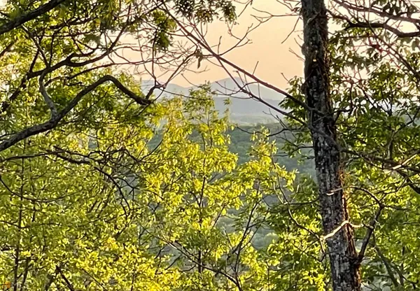 $64,900 | 0 Little Eagle Mountain Road, Unit LOT 5, Clarkesville, GA 30523