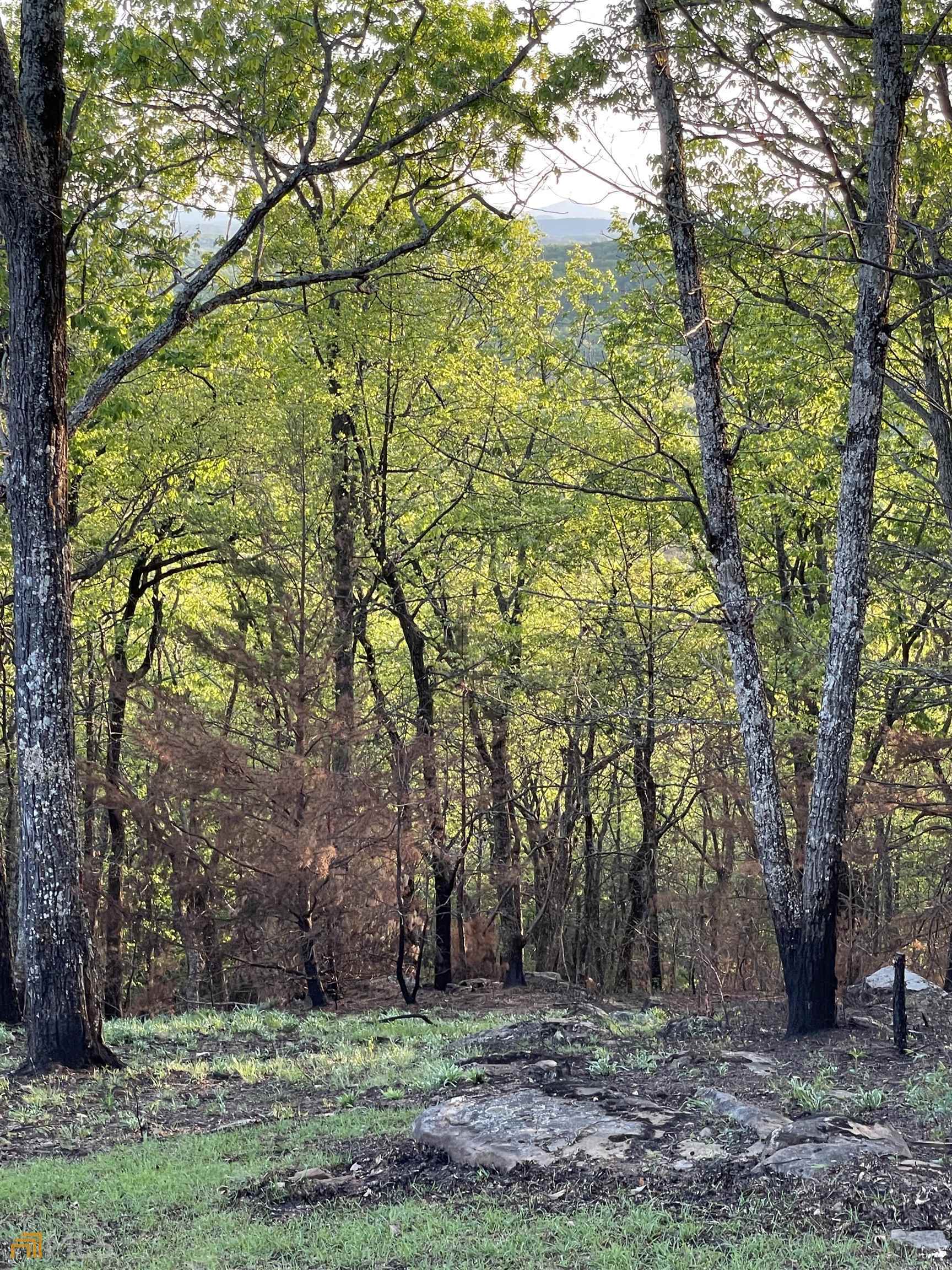 0 Little Eagle Mountain Road, Unit LOT 5 Clarkesville, GA 30523 - Photo 11 of 34