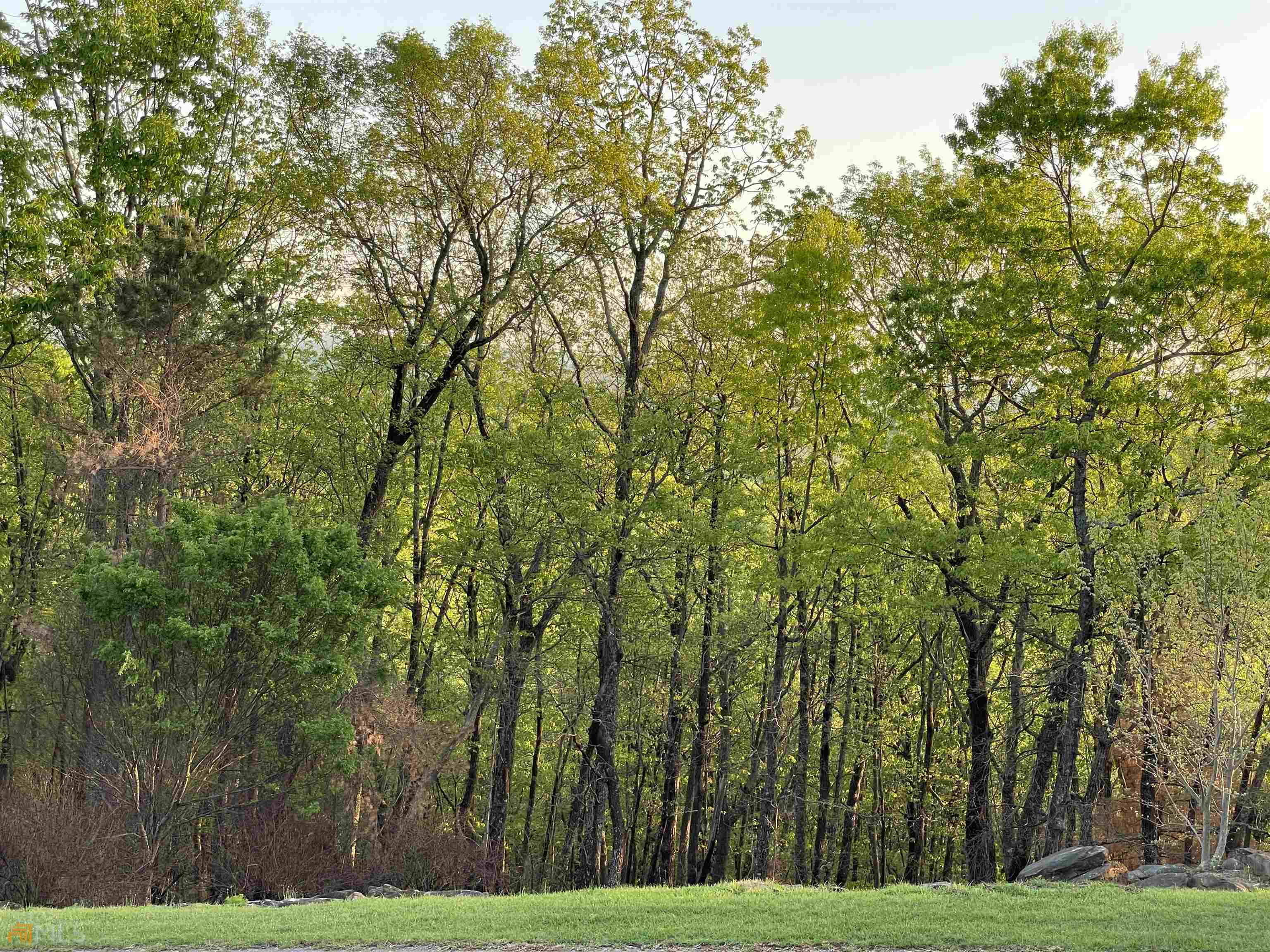 0 Little Eagle Mountain Road, Unit LOT 5 Clarkesville, GA 30523 - Photo 12 of 34