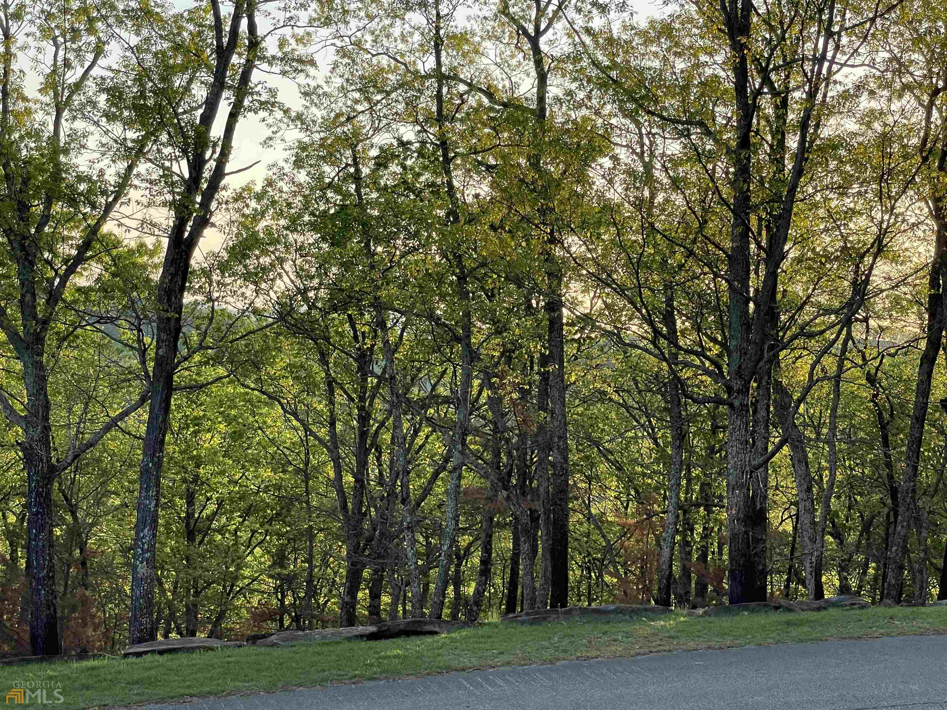 0 Little Eagle Mountain Road, Unit LOT 5 Clarkesville, GA 30523 - Photo 13 of 34