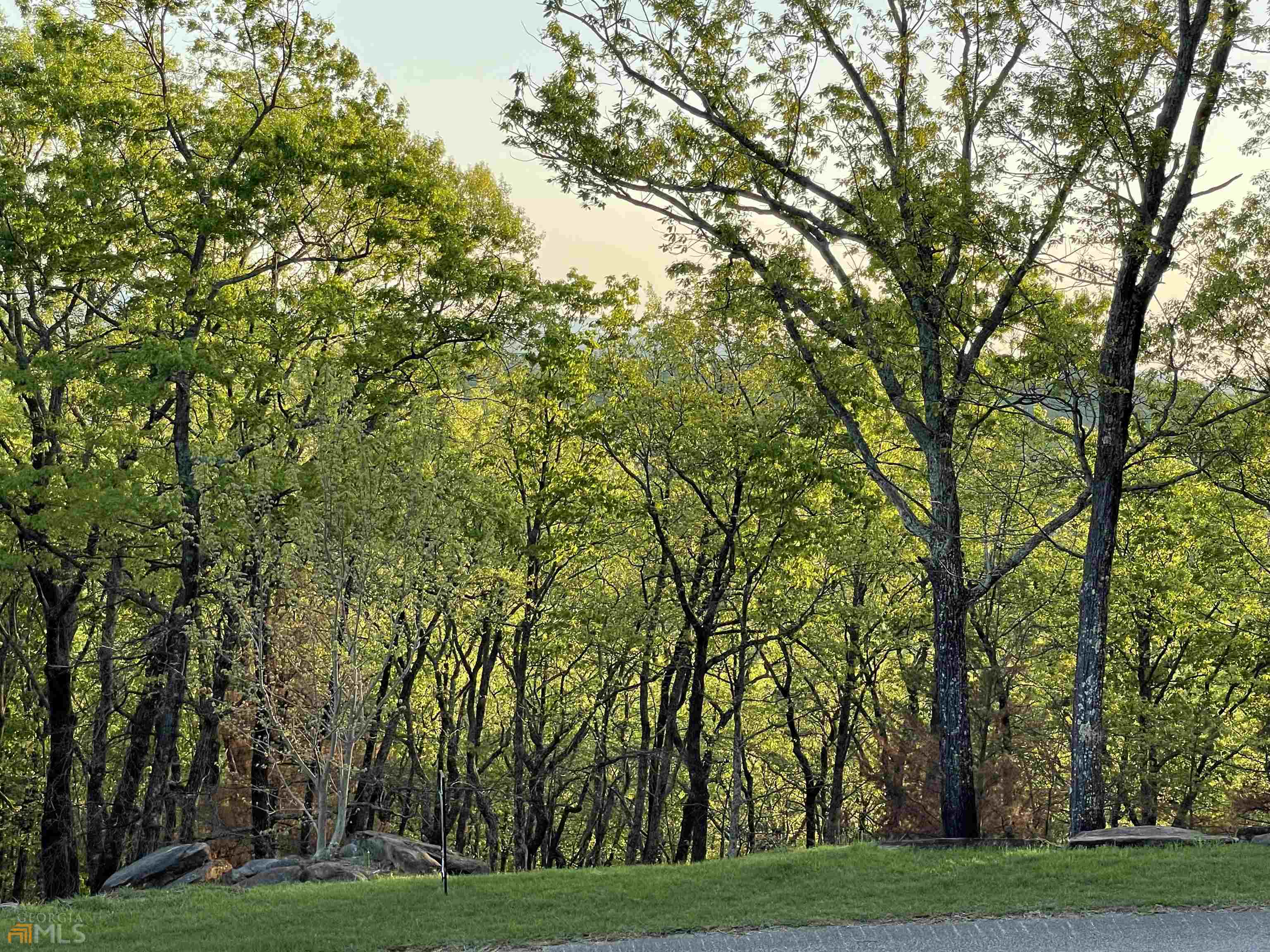 0 Little Eagle Mountain Road, Unit LOT 5 Clarkesville, GA 30523 - Photo 14 of 34