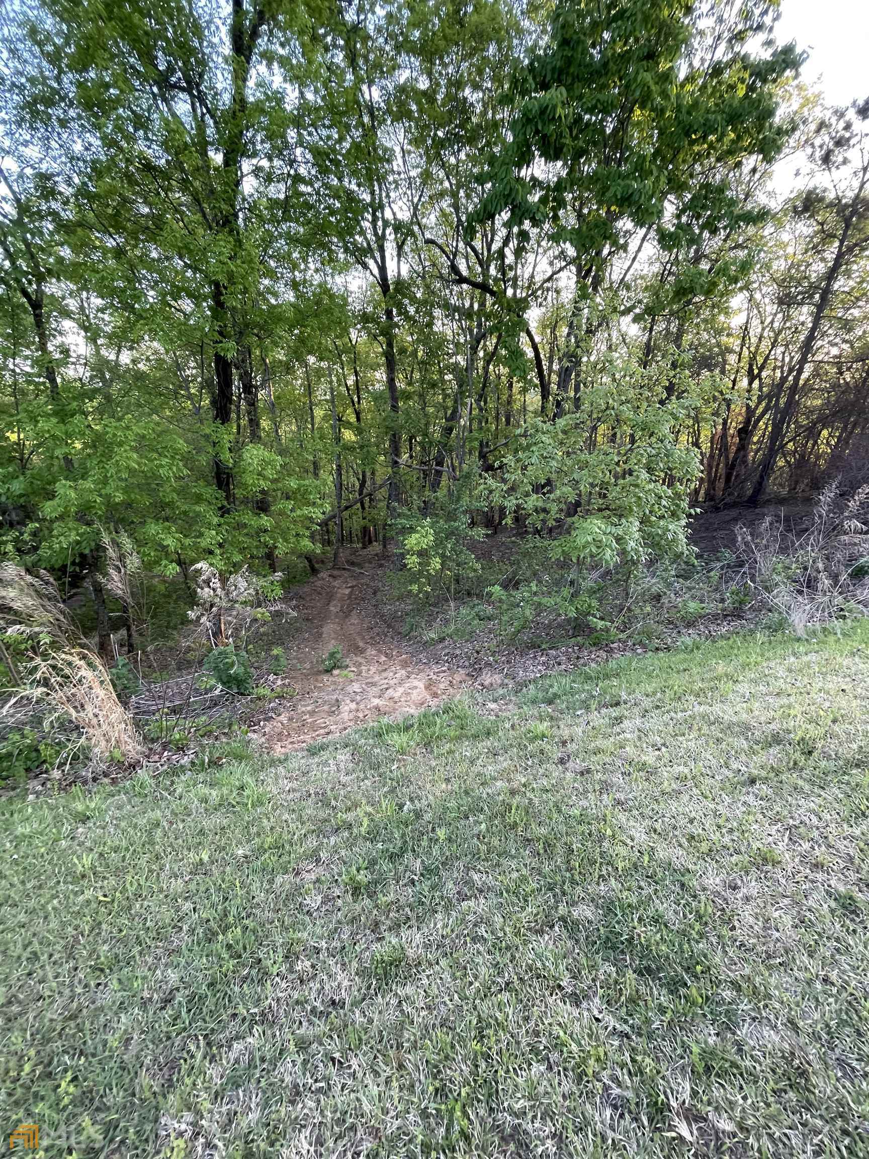 0 Little Eagle Mountain Road, Unit LOT 5 Clarkesville, GA 30523 - Photo 15 of 34