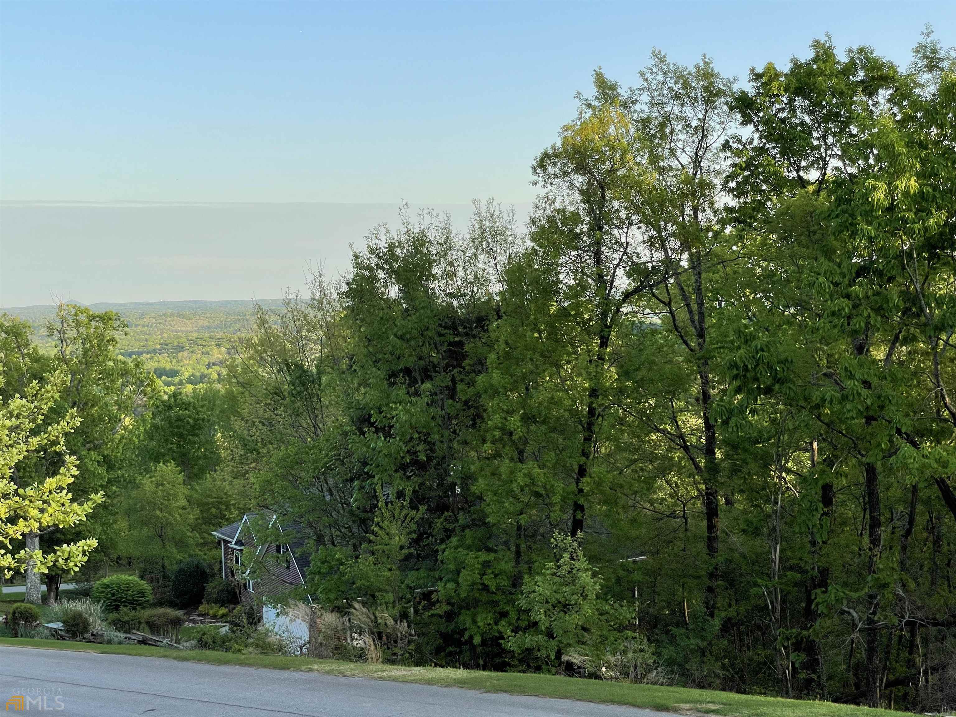 0 Little Eagle Mountain Road, Unit LOT 5 Clarkesville, GA 30523 - Photo 17 of 34