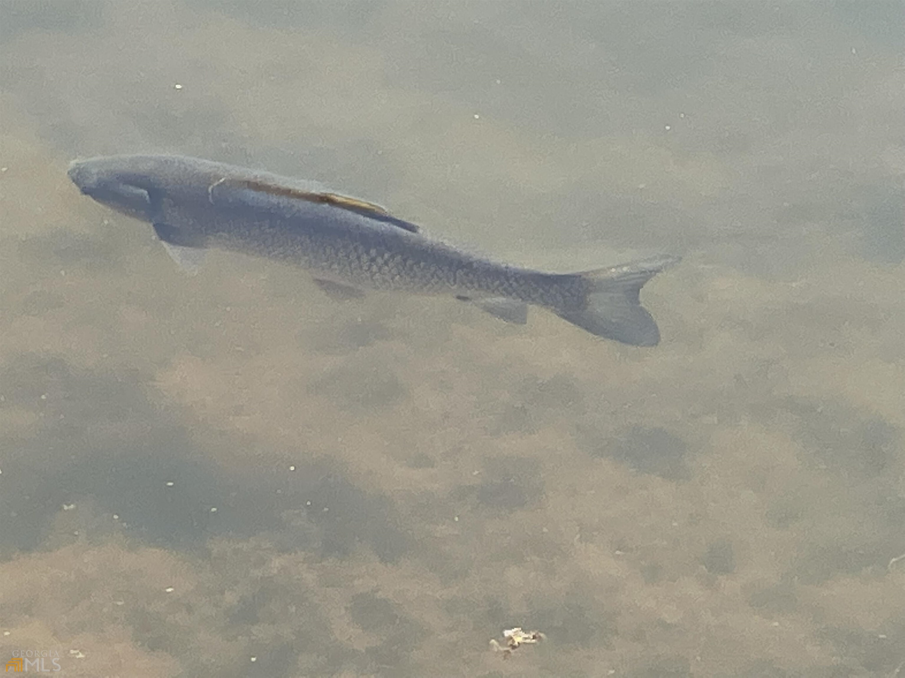 0 Little Eagle Mountain Road, Unit LOT 5 Clarkesville, GA 30523 - Photo 21 of 34