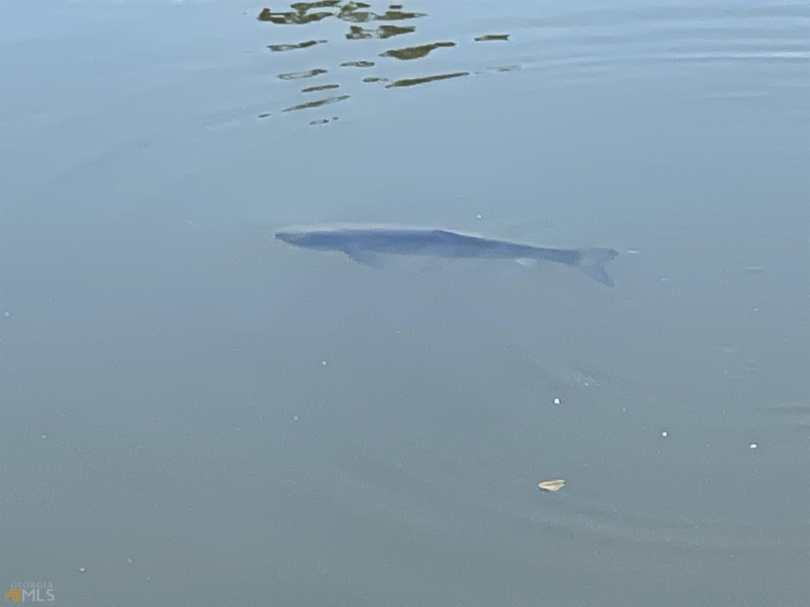 0 Little Eagle Mountain Road, Unit LOT 5 Clarkesville, GA 30523 - Photo 22 of 34