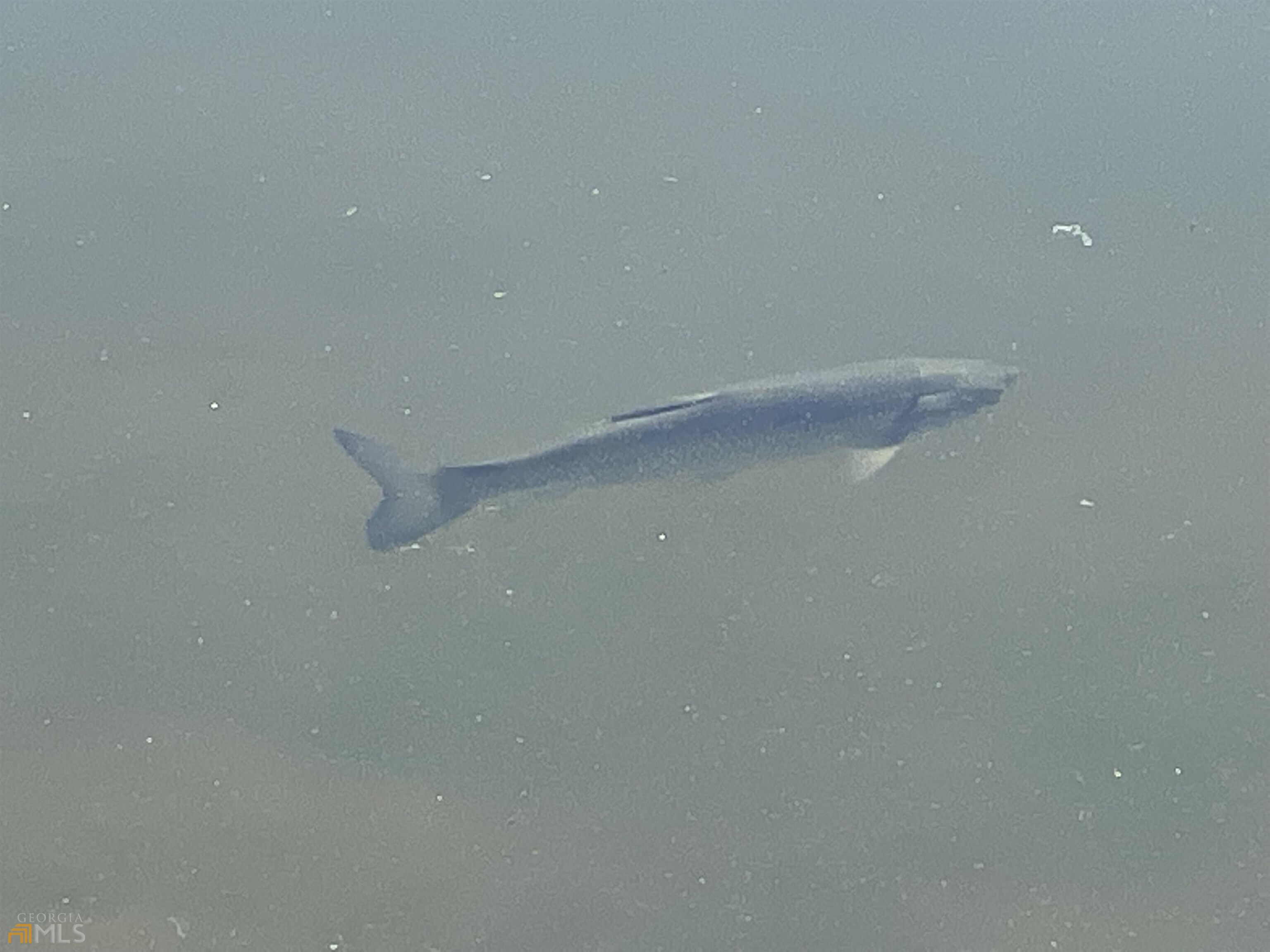 0 Little Eagle Mountain Road, Unit LOT 5 Clarkesville, GA 30523 - Photo 23 of 34