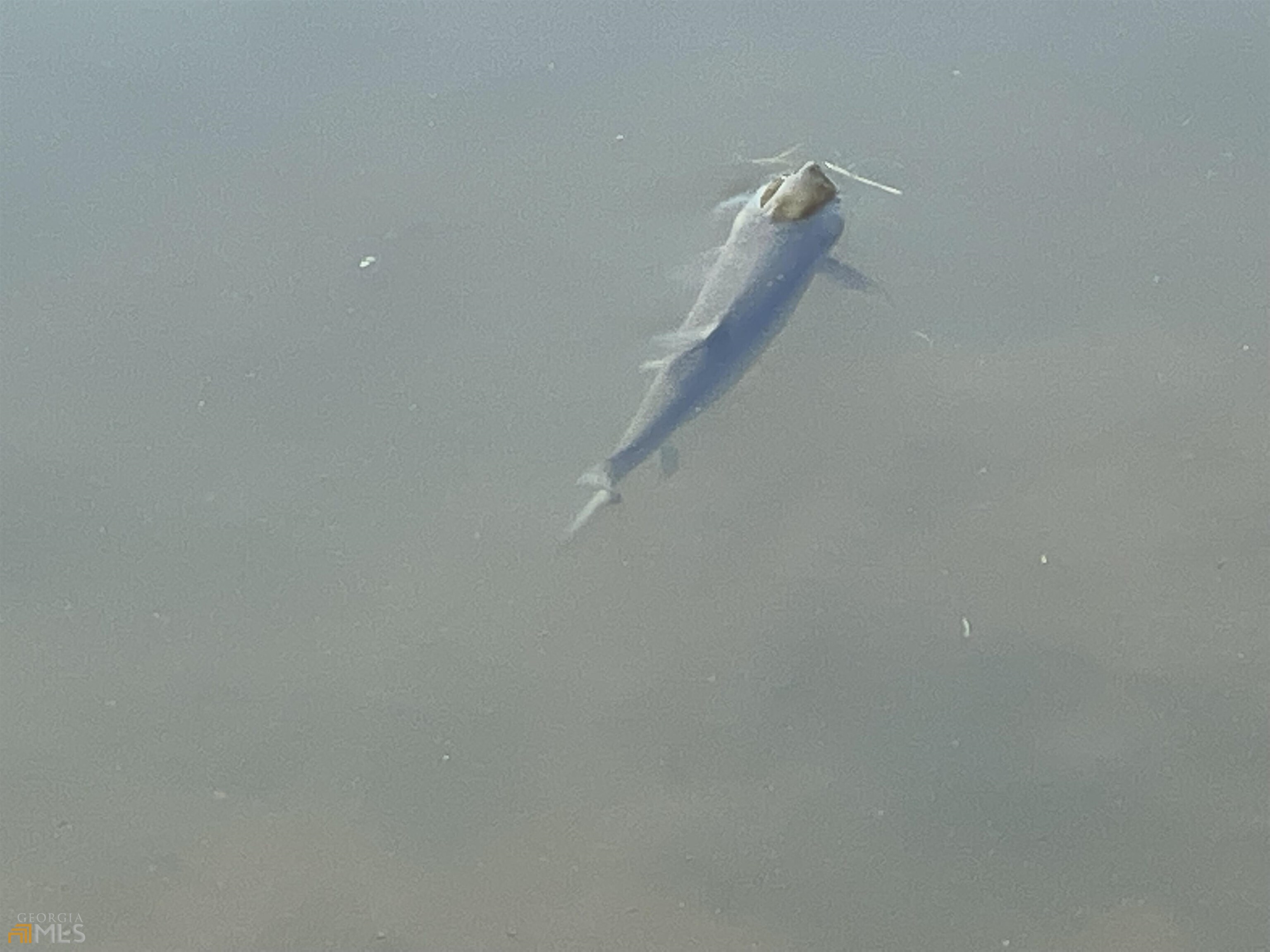 0 Little Eagle Mountain Road, Unit LOT 5 Clarkesville, GA 30523 - Photo 24 of 34