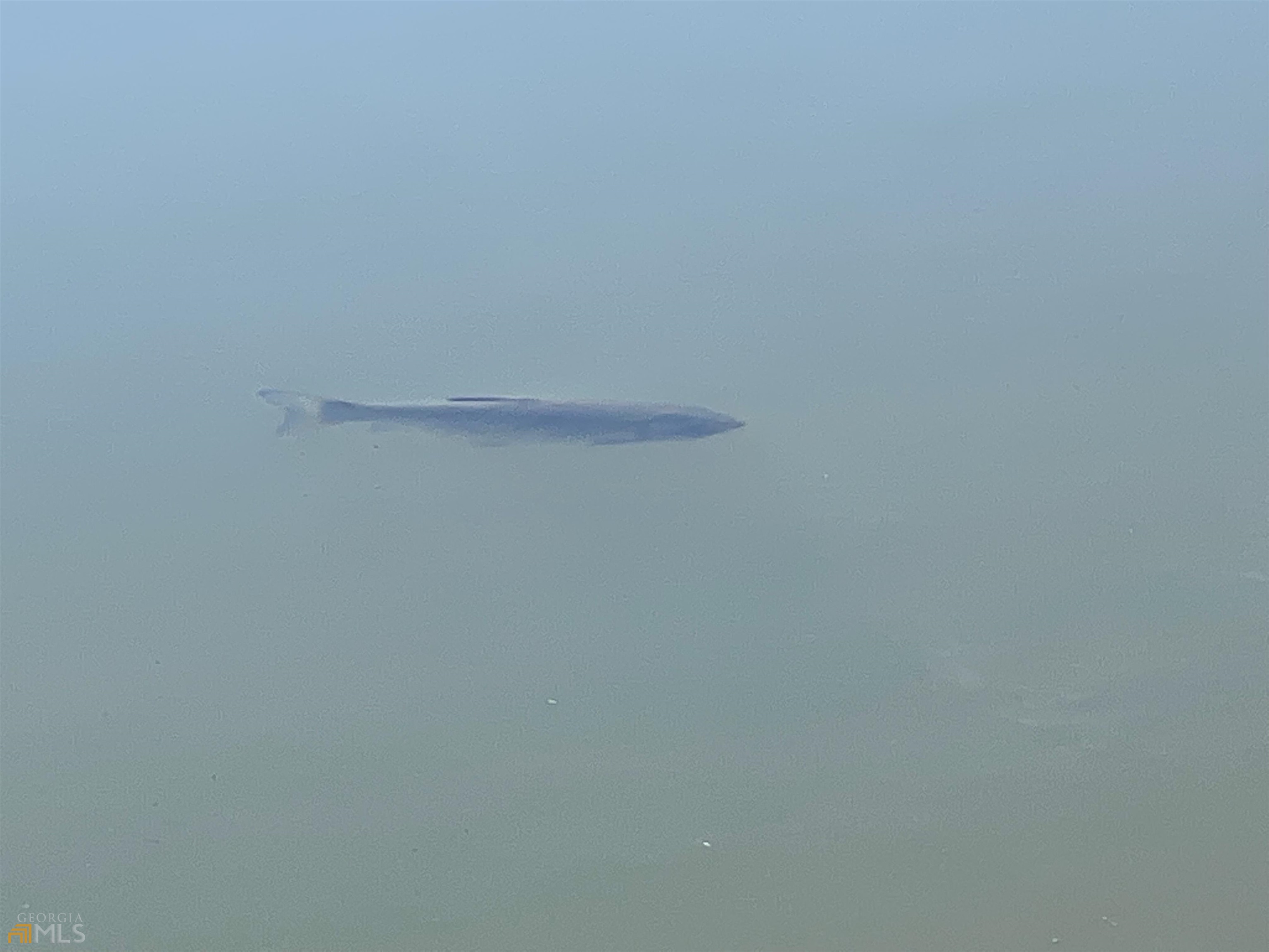 0 Little Eagle Mountain Road, Unit LOT 5 Clarkesville, GA 30523 - Photo 25 of 34